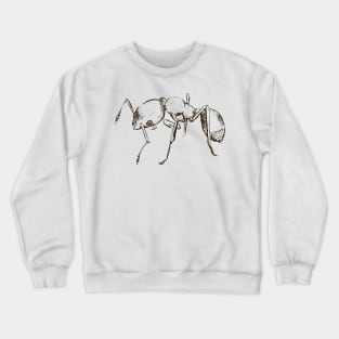 Ants Crewneck Sweatshirt